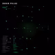 Robin Pulse
