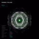 Robin Pulse #142
