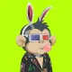 Robin Ape Yacht Club #2736