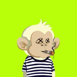 Robin Ape Yacht Club #3146