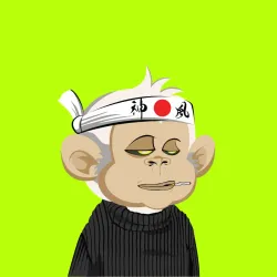 Robin Ape Yacht Club #2454