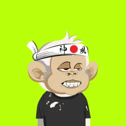 Robin Ape Yacht Club #1183