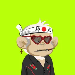Robin Ape Yacht Club #2448
