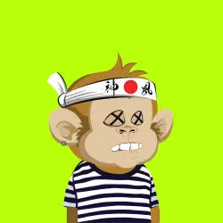 Robin Ape Yacht Club #3122