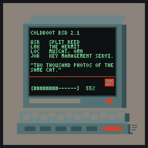 LAPTOP FILES #2505
