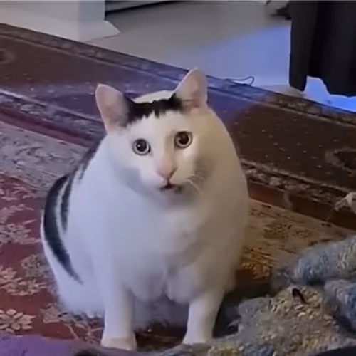 HUH