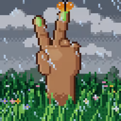 505