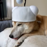 SNOO