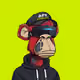 Hood Ape Syndicate #1589