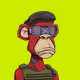 Hood Ape Syndicate #1581