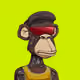 Hood Ape Syndicate #1110