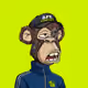 Hood Ape Syndicate #1582