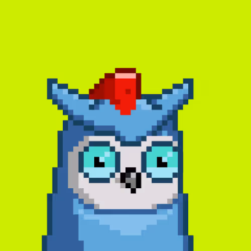 Birdies Hood #4620