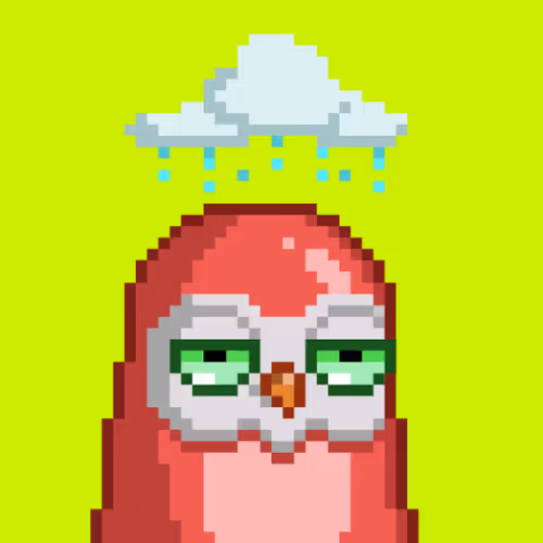 Birdies Hood #4317