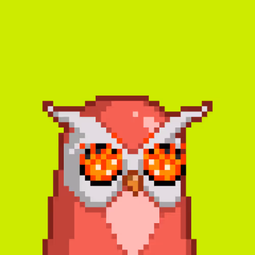 Birdies Hood #4314
