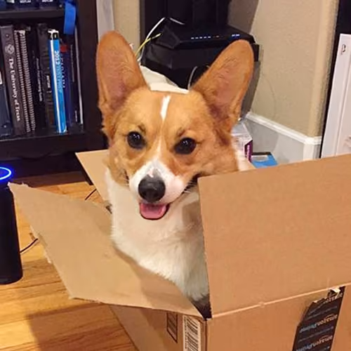 RUFUS