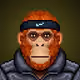MonkzHood #440