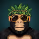 4200