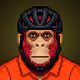 MonkzHood #430