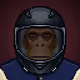 MonkzHood #461