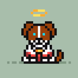 Doggos #1136
