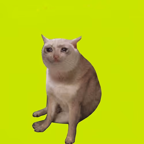CASHCAT NFT