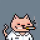KITTYZEN #1543