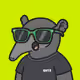 SNOOT #244