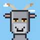 Goat Street #1657