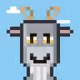 Goat Street #2664