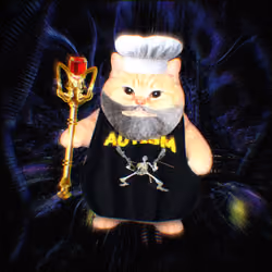 WizardCats #256