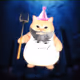 3090