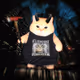 WizardCats #1581