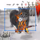 Oiia Cats #219