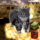 Oiia Cats #220