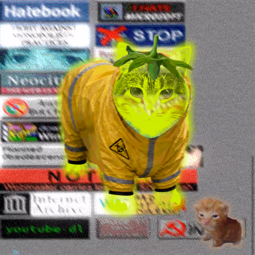 Item #1071 Media