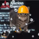 Oiia Cats #216