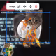 Oiia Cats #217