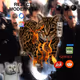 Oiia Cats #215