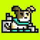 ROBIN DOGE
