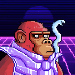 Space Monkeys #548