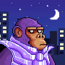 Space Monkeys #914