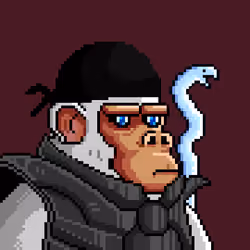 Space Monkeys #611