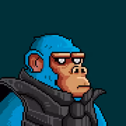 Space Monkeys #939
