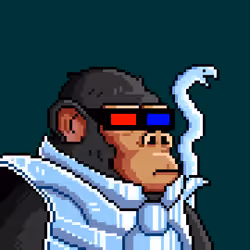 Space Monkeys #606