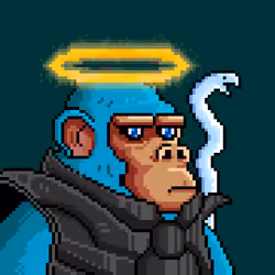 Space Monkeys #660