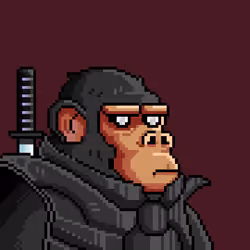 Space Monkeys #549