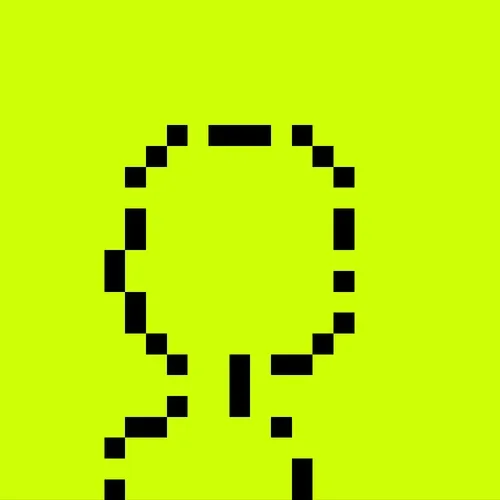 RobinPunk