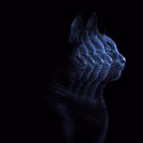 MOTION