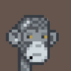 Apes Bunitori Punk #803